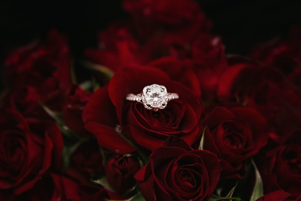 Round Cut Rings Round Cut Rings